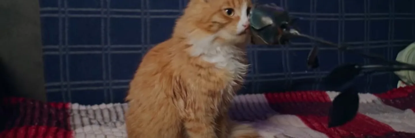 Кадр из 3 серии 1 сезона